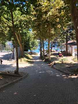 pacug 1 (6)